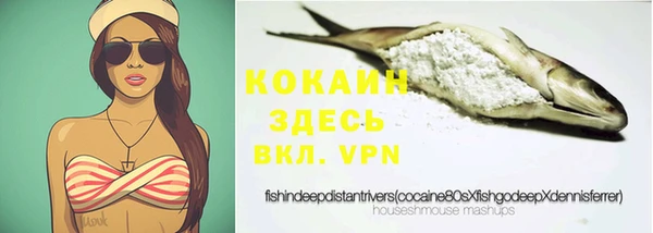 крисы Вязники