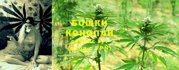 бошки Вяземский