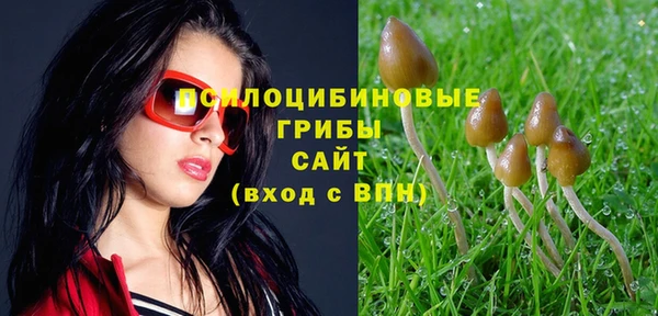 крисы Вязники