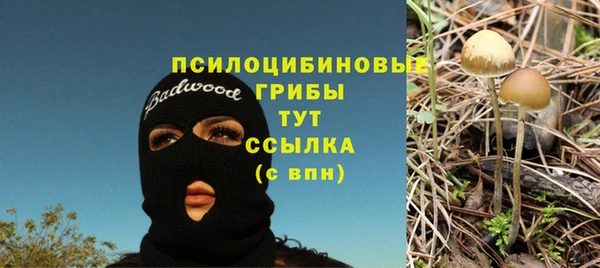 крисы Вязники