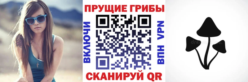 Галлюциногенные грибы ЛСД  где можно купить наркотик  Пудож 